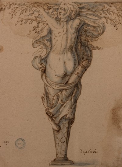 Daphne Transformed into a Laurel by Hugues Sambin